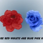 roses are red violets are blue pick up lines
