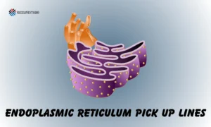endoplasmic reticulum pick up lines